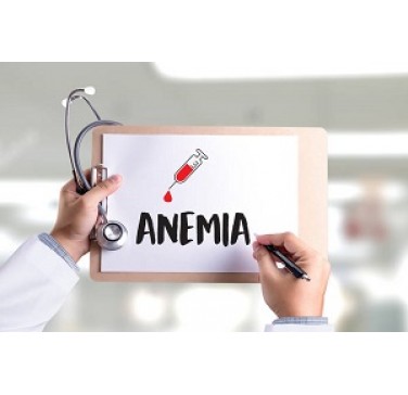 Дифференциальная диагностика анемии на основе лабораторных исследований. Современные протоколы